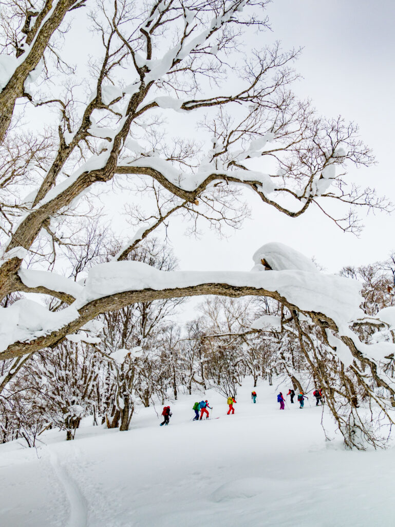 femmes_en_montagne_photo_women_skimo_project-1